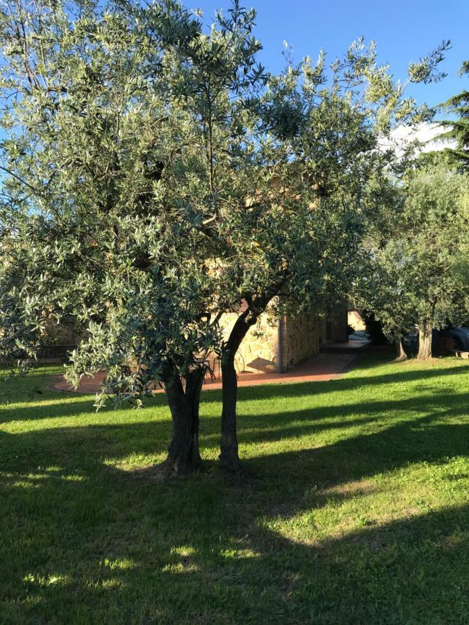 La Casina Rosella Apartment Montaione Bagian luar foto